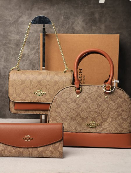 طقم شنطة نسائية COACH.